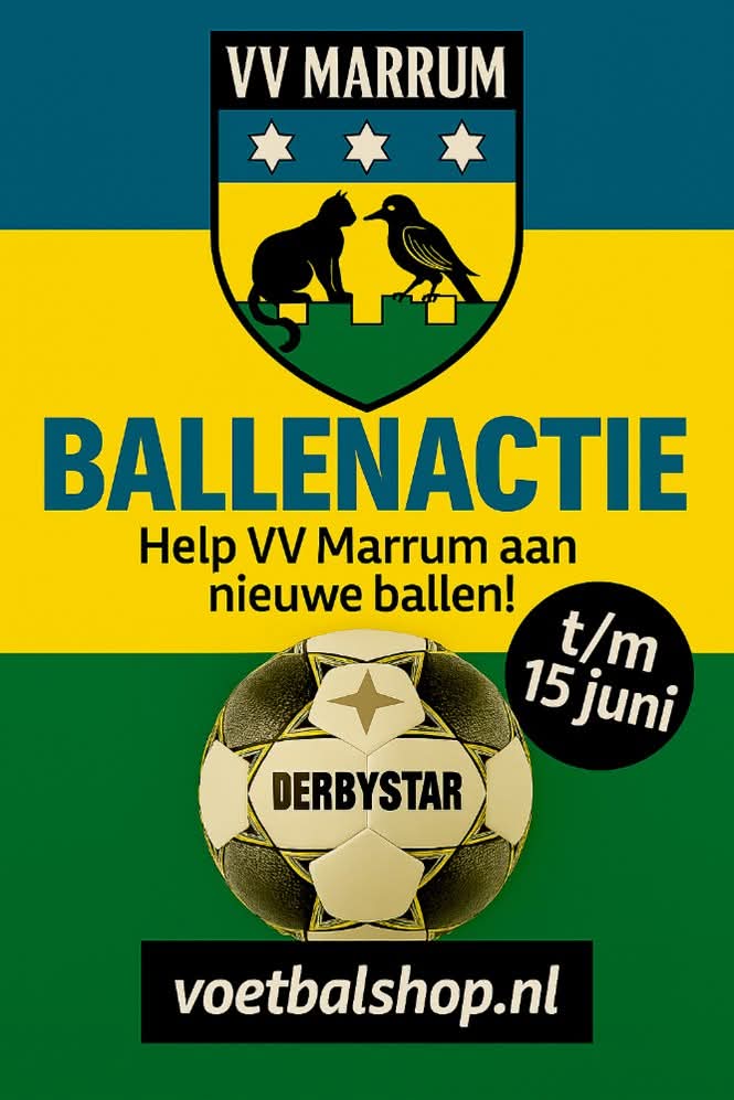 Ballenactie