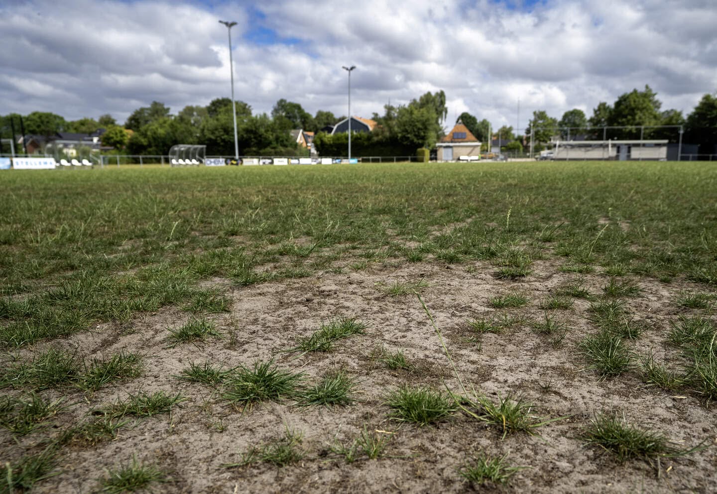 Hoofdveld2